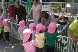 j 961.jpg